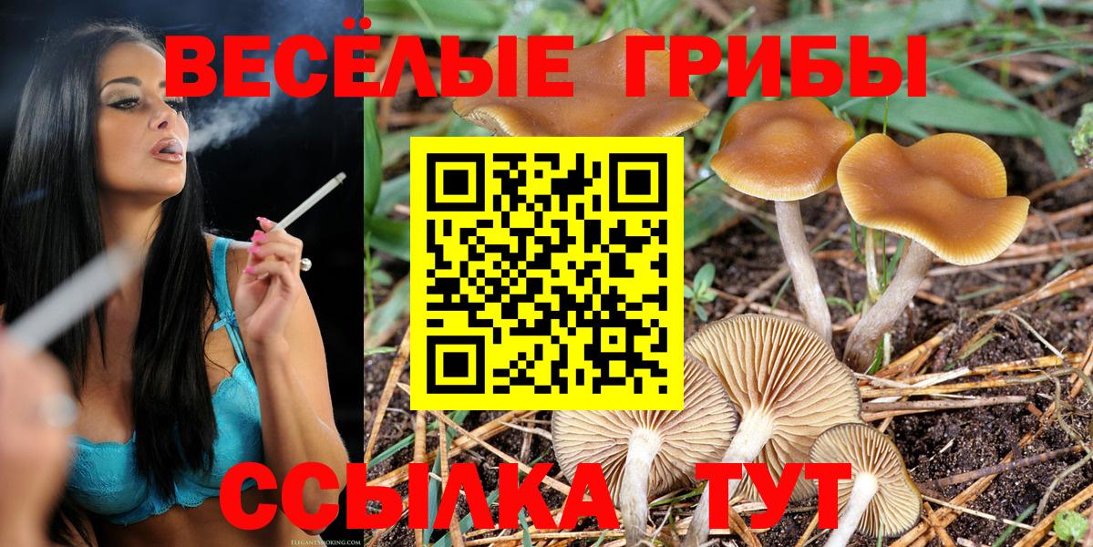 Чебоксары  купить  сайты  Вход с VPN  Галлюциногенные грибы Cubensis  Галлюциногенные грибы Magic Shrooms 